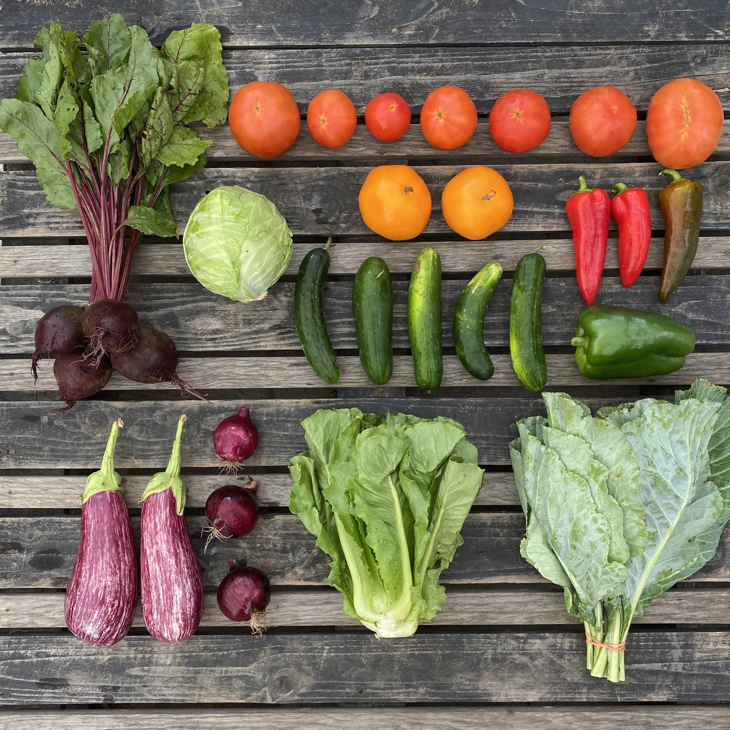 National CSA Week: Interview with a Farmer