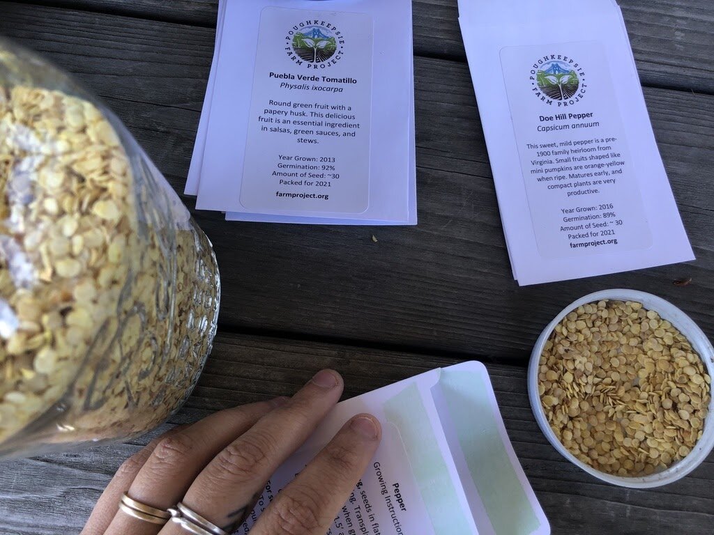 Seeds Will Reunite Us: A call to rekindle your relationship with seeds