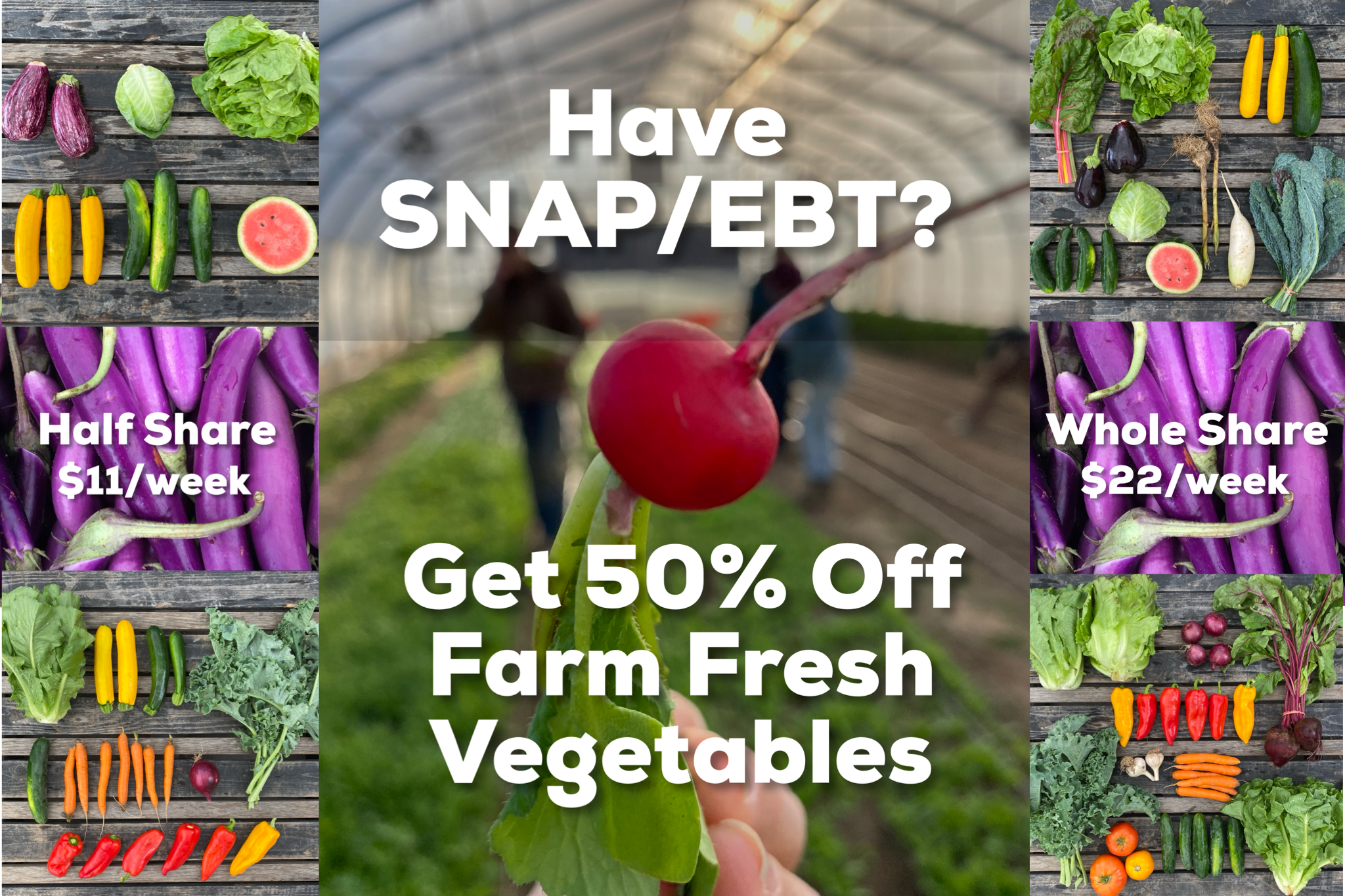 CSA is a Snap — Poughkeepsie Farm Project