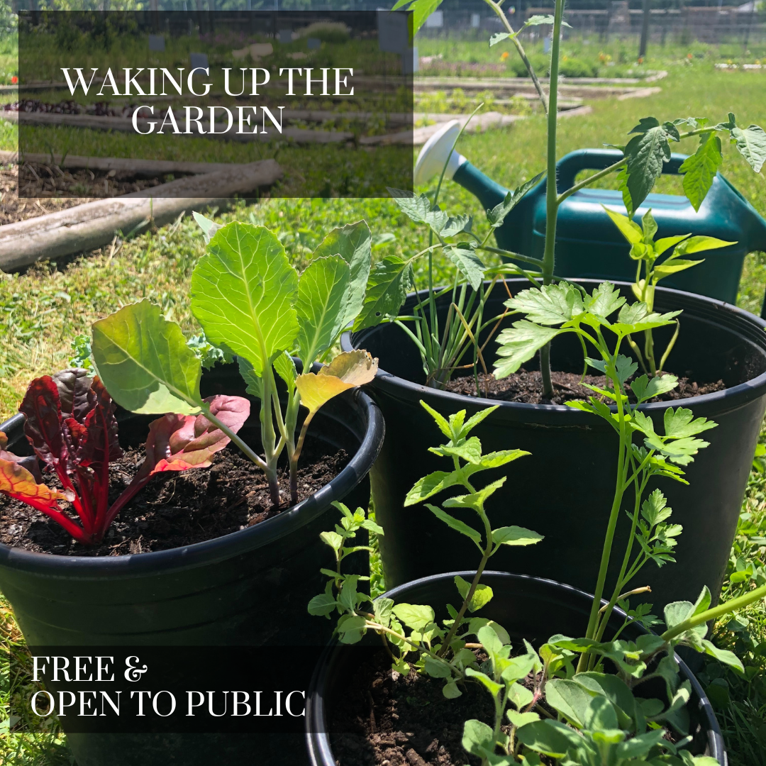 Waking Up the Garden