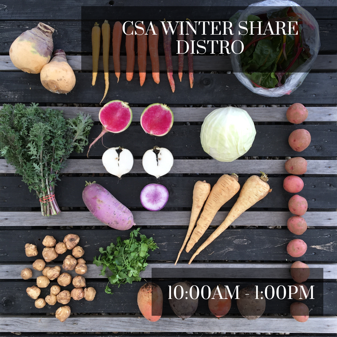 CSA: WINTER SHARE 2023-2024