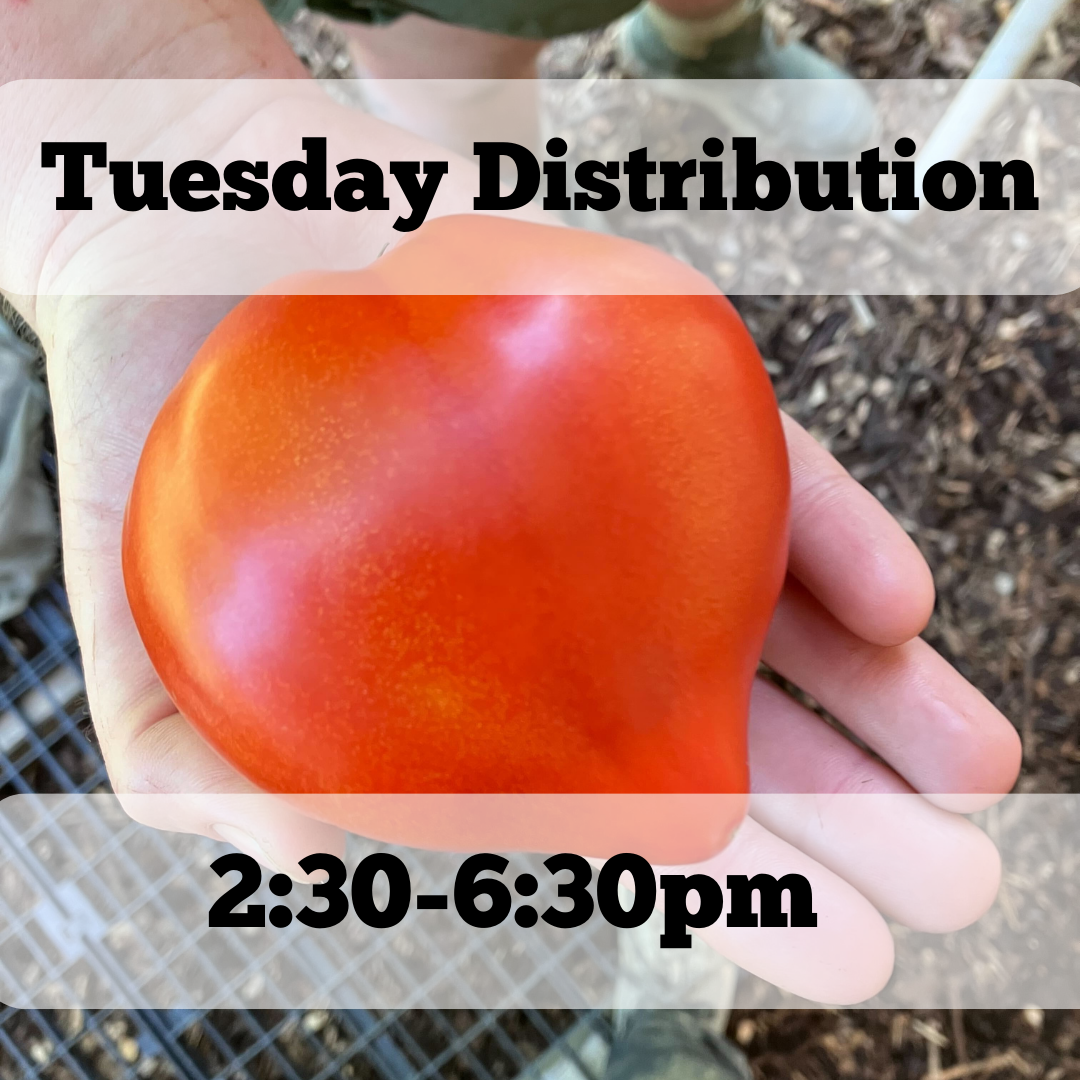 CSA Distribution Day