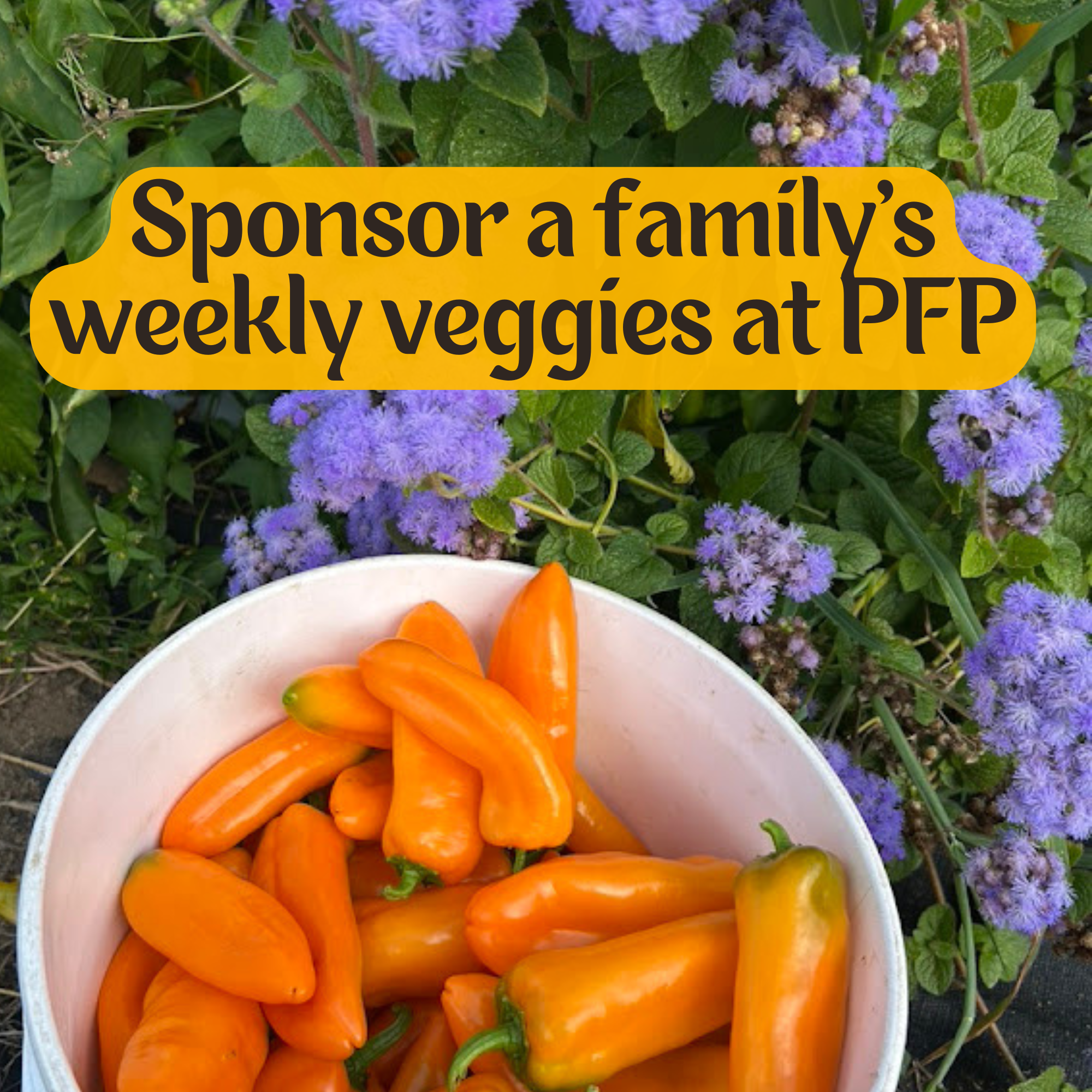 Volunteer 2026 (1).png