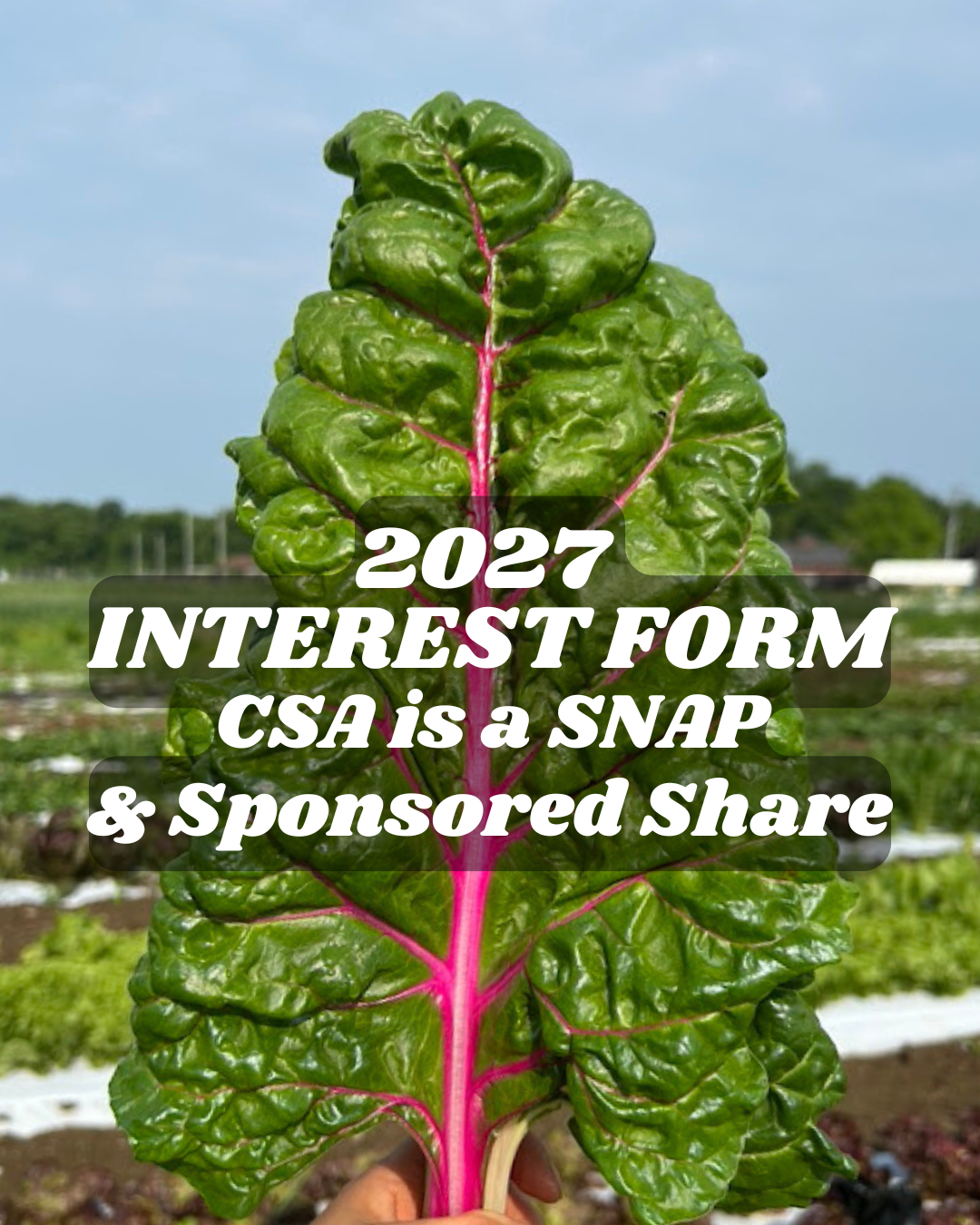VEGGIE SHARES AT PFP (7).png