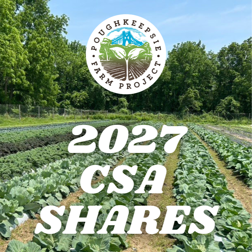 VEGGIE%2BSHARES%2BAT%2BPFP%2B%25288%2529.png