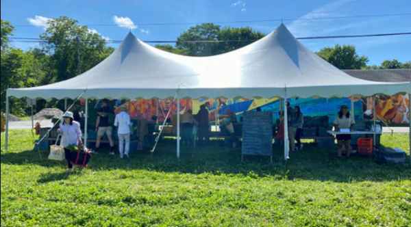 Screenshot 2026-02-16 135416.png