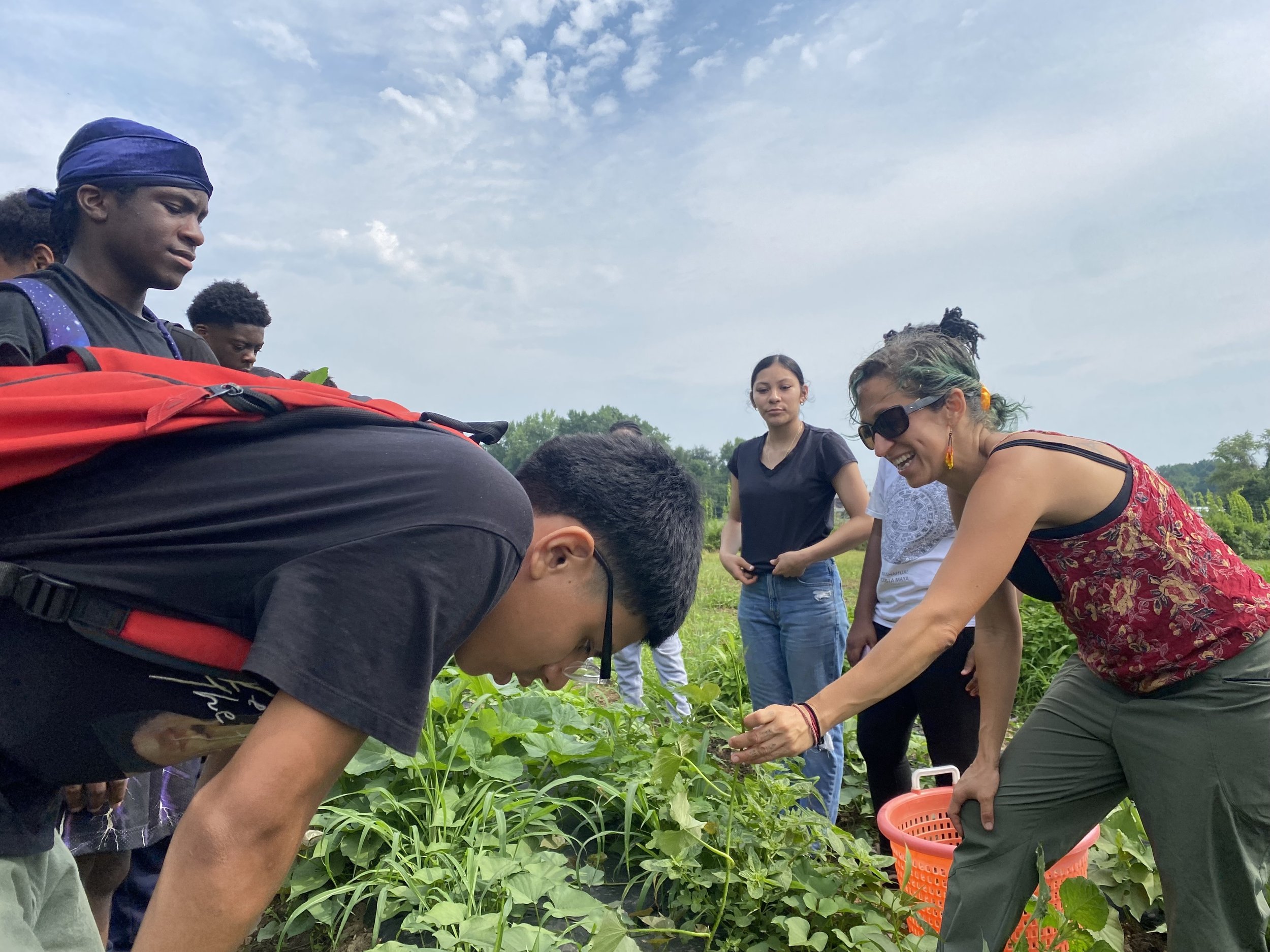 Food Literacy Project - The World PEAS CSA offers delicious and