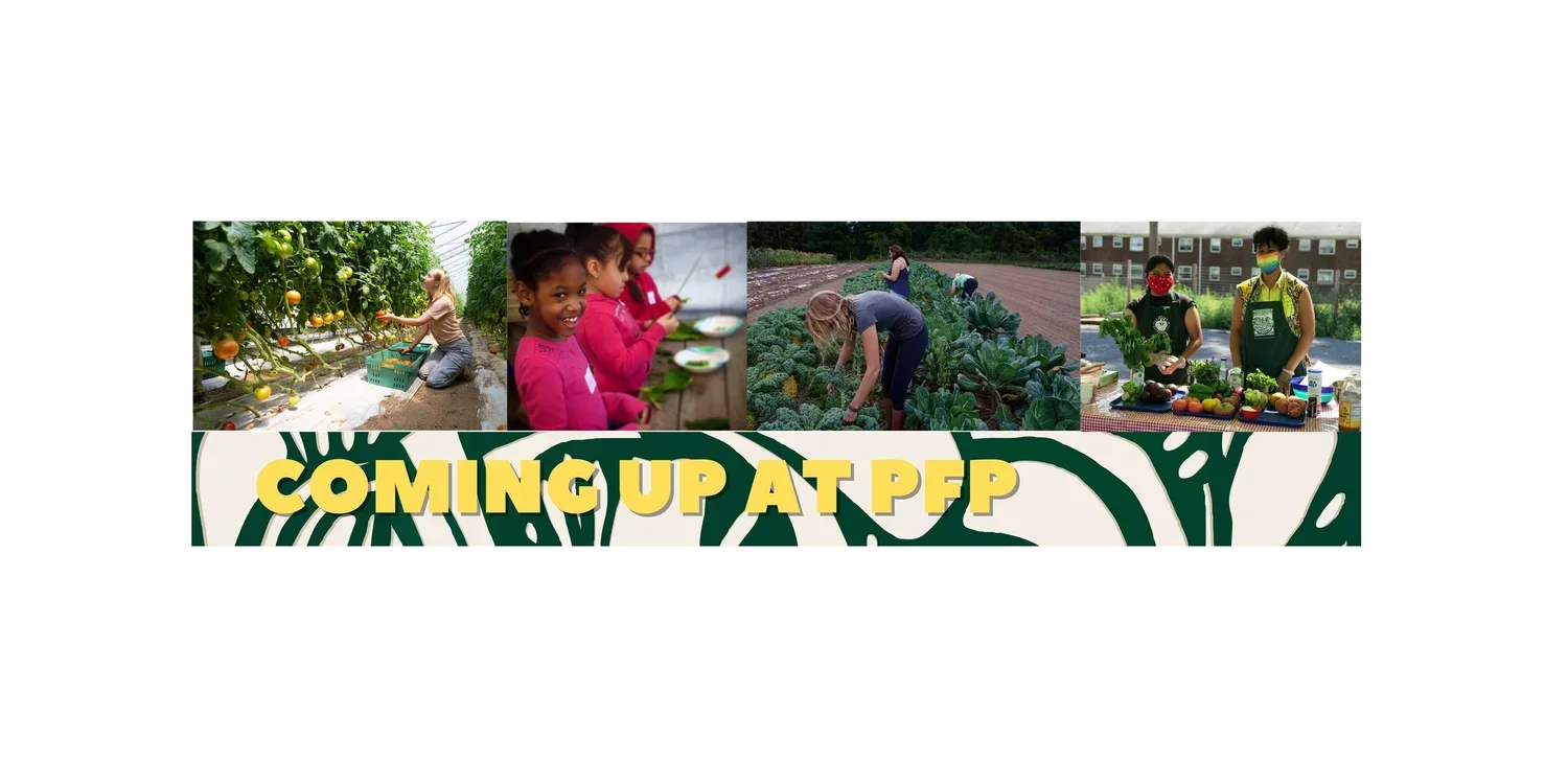 coming+up+at+PFP+(3).webp