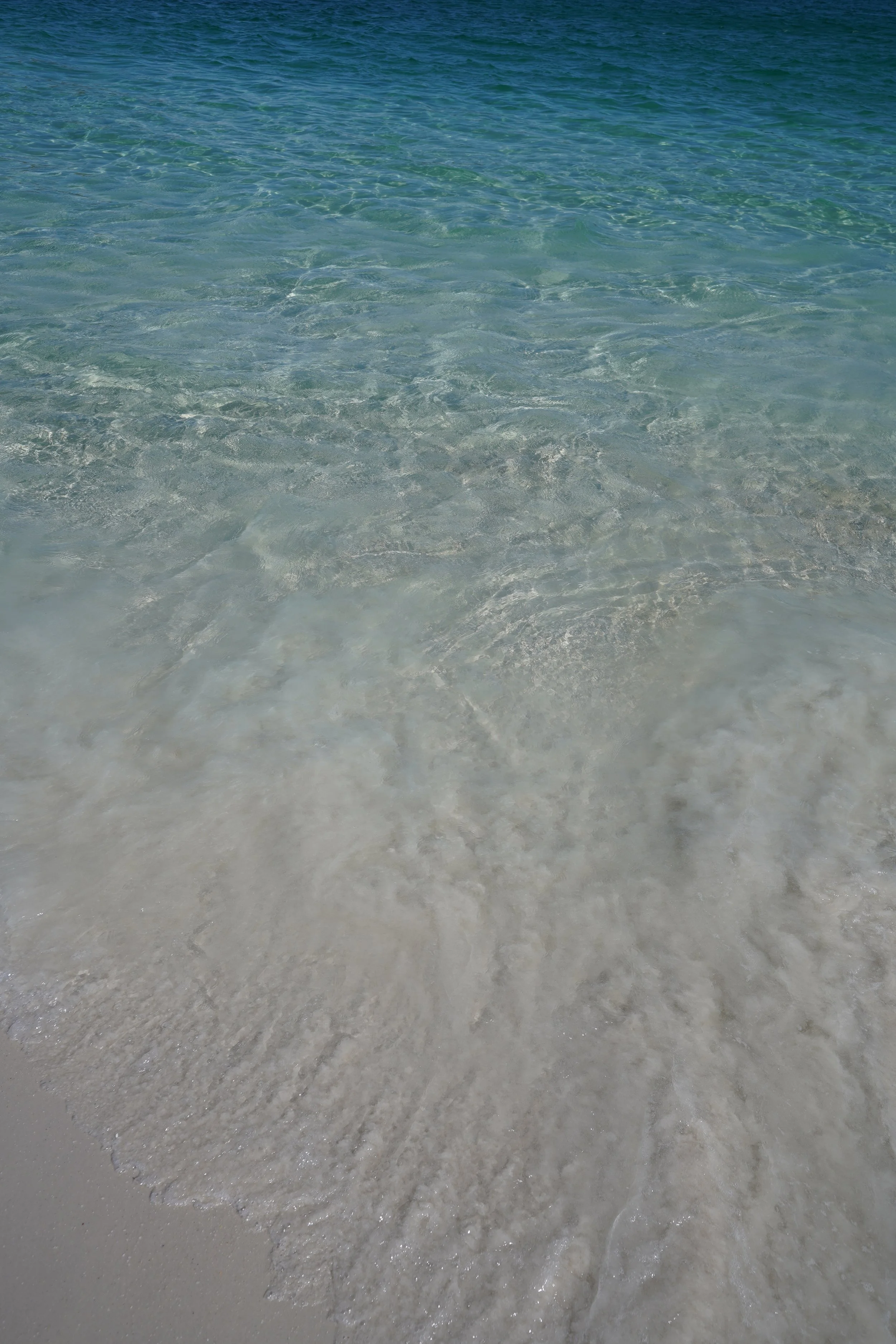 DSC00289.JPG