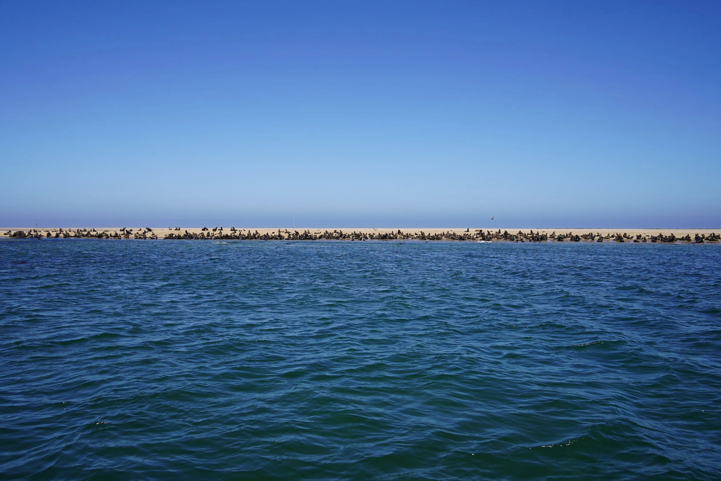 DSC02846.JPG