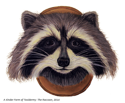 'Raccoon', Acrylic & Colored Pencil, 2013