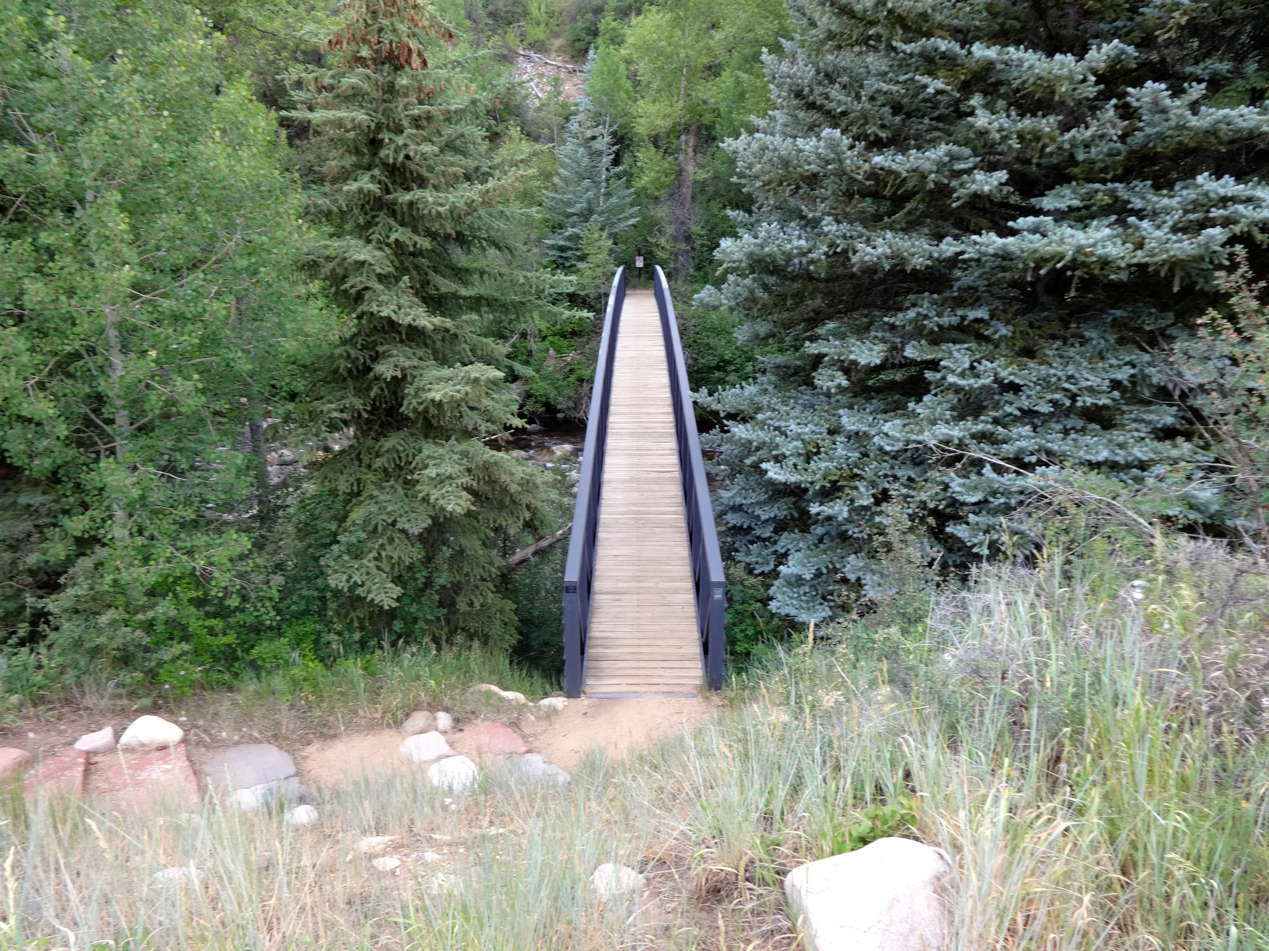 Footbridge on the Rio Grande Trail Aspen Colorado.jpg