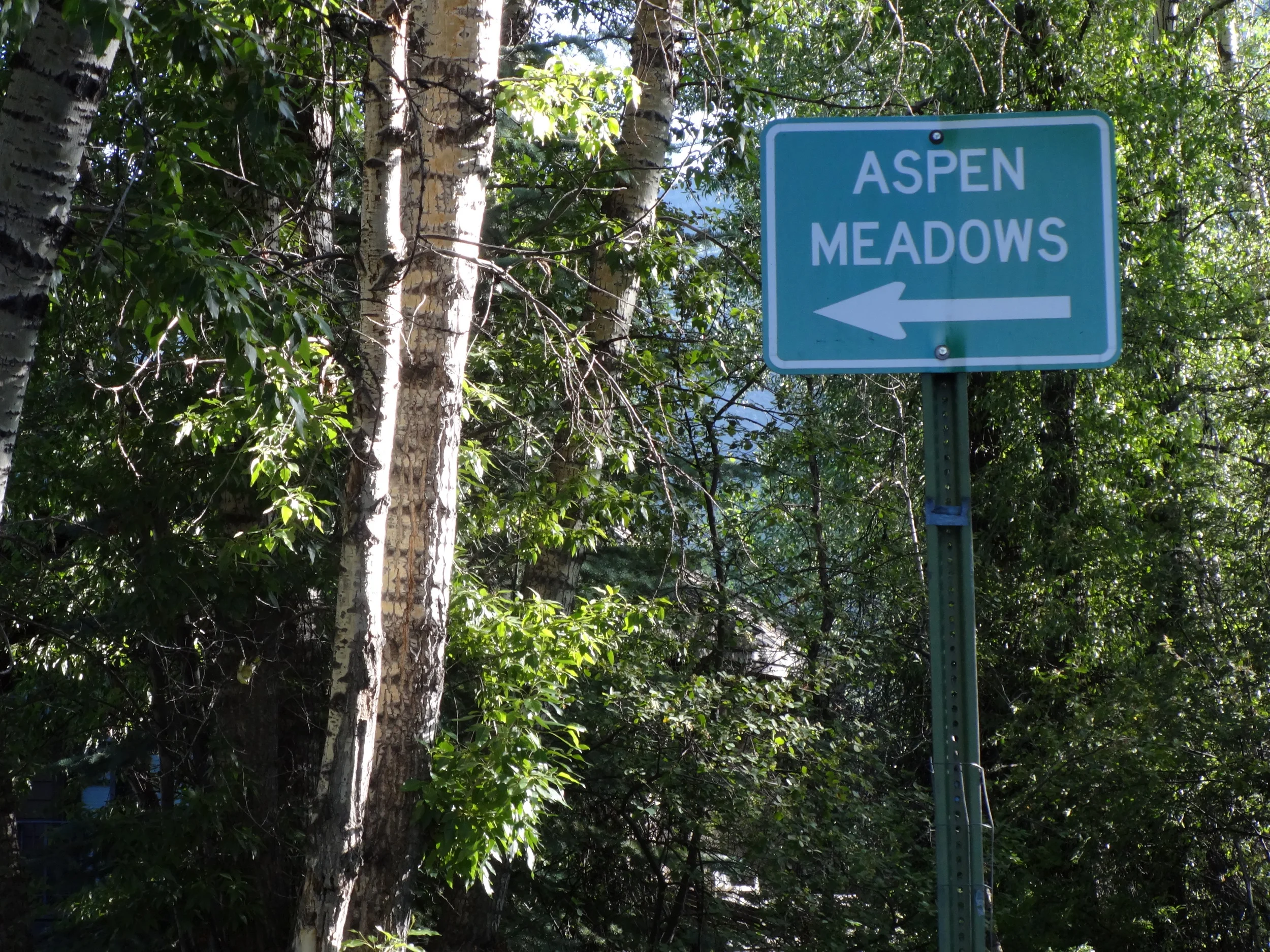 Aspen Meadows.jpg