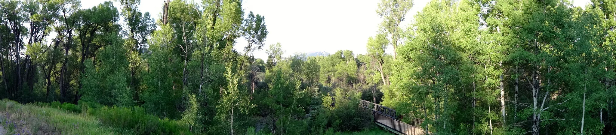 Aspen Panorama.jpg