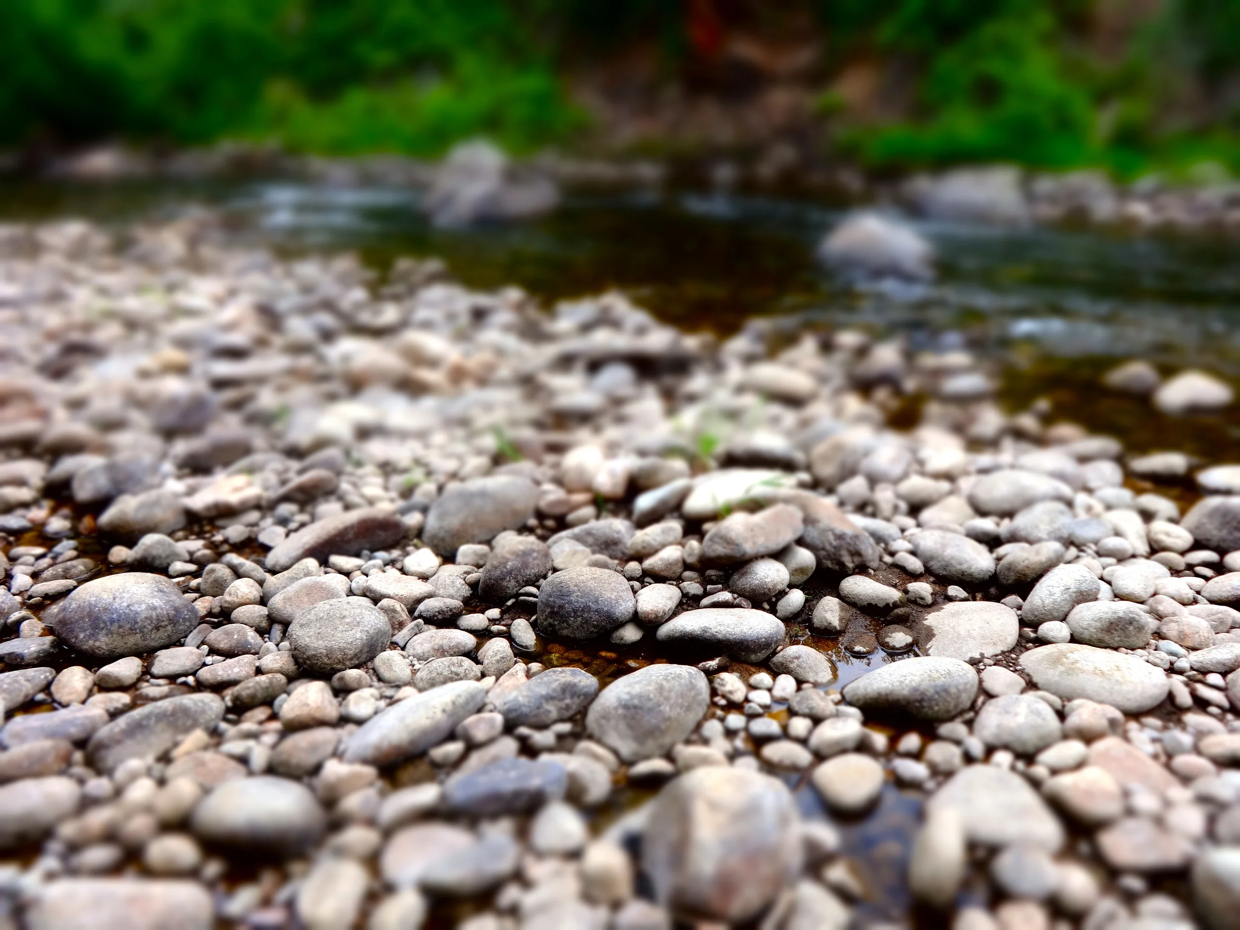 Rio Grande Trail Aspen 1.jpg