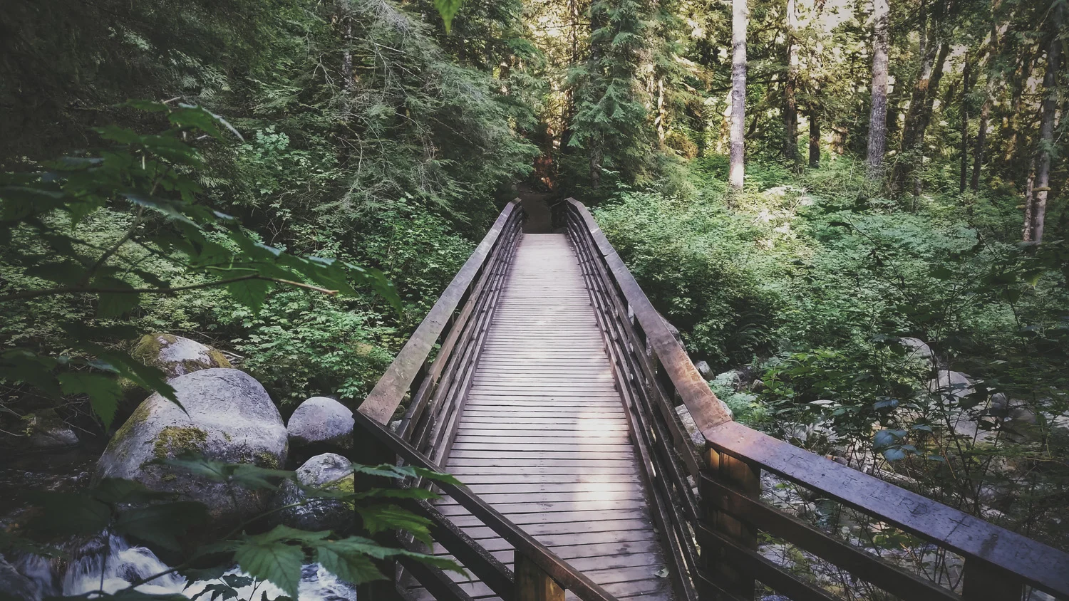 2014-08-22 06.48.50 2.jpg