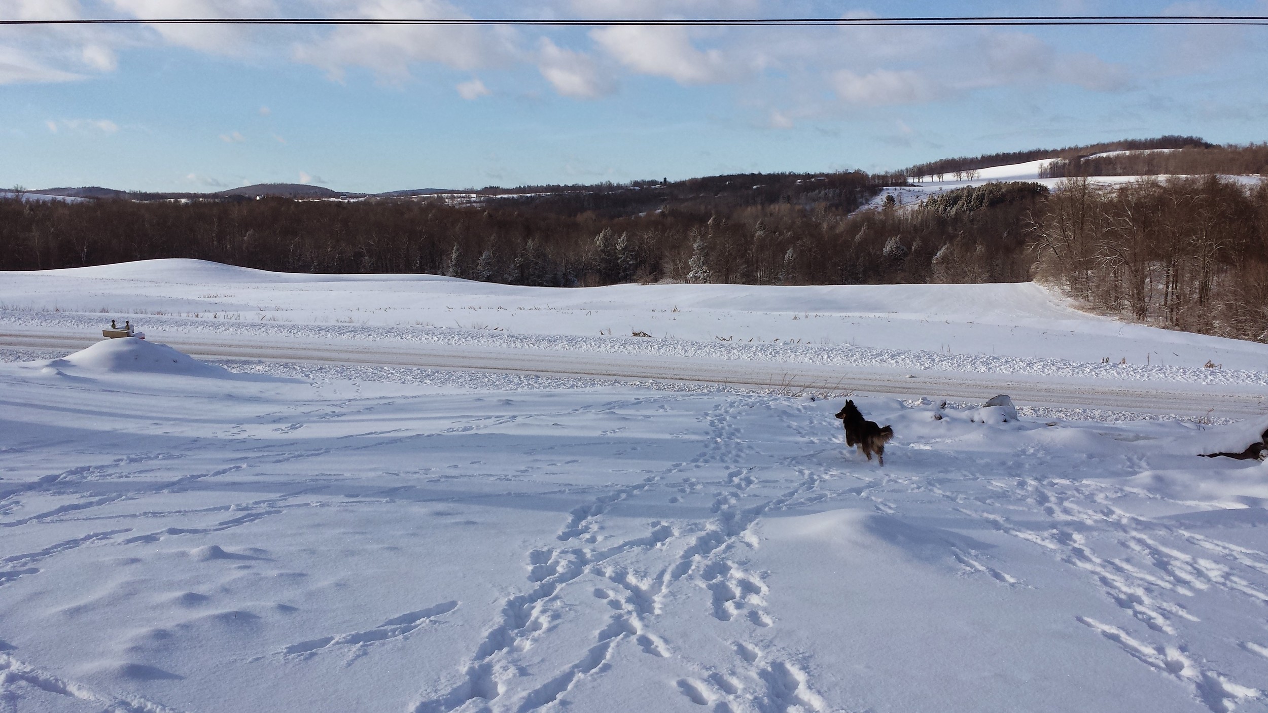 Our driveway must be plowed before the milk truck can pick up our milk. 