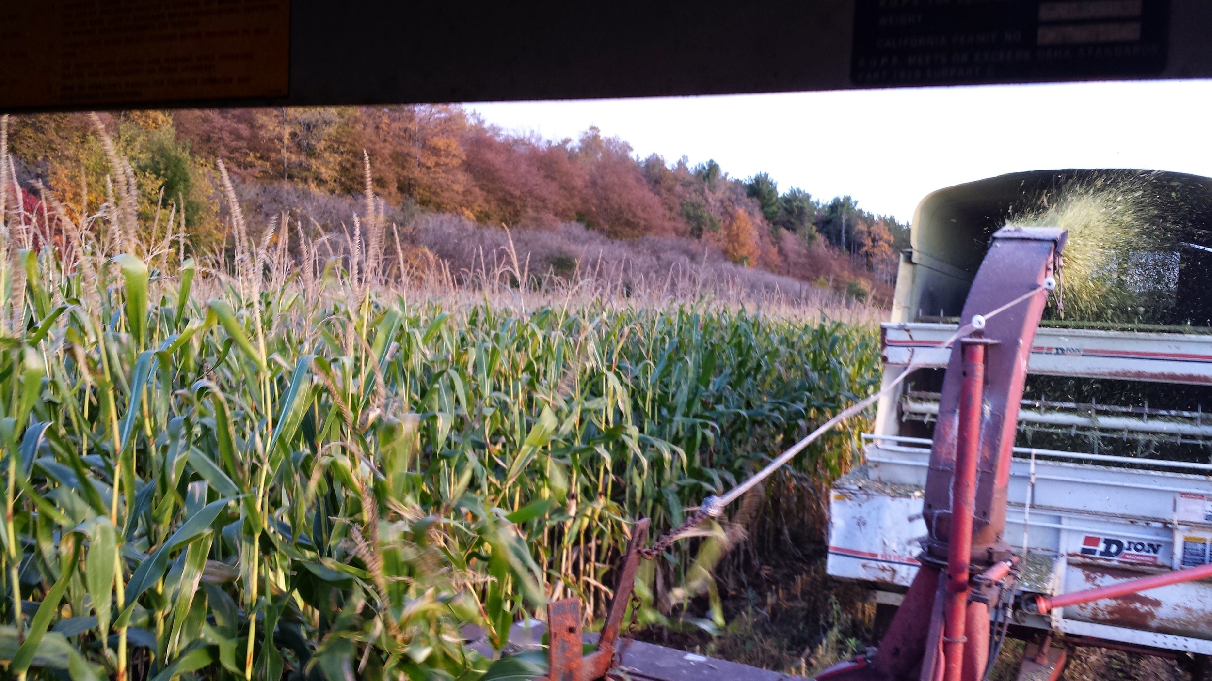 Farming is a family affair.
