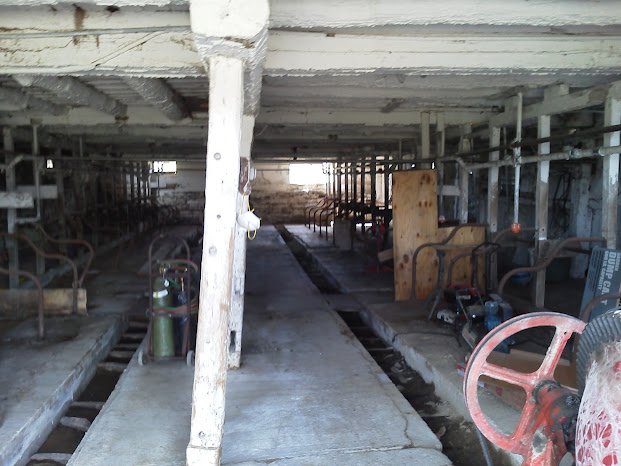 The inside of our first barn. We started our herd in a tie-stall.