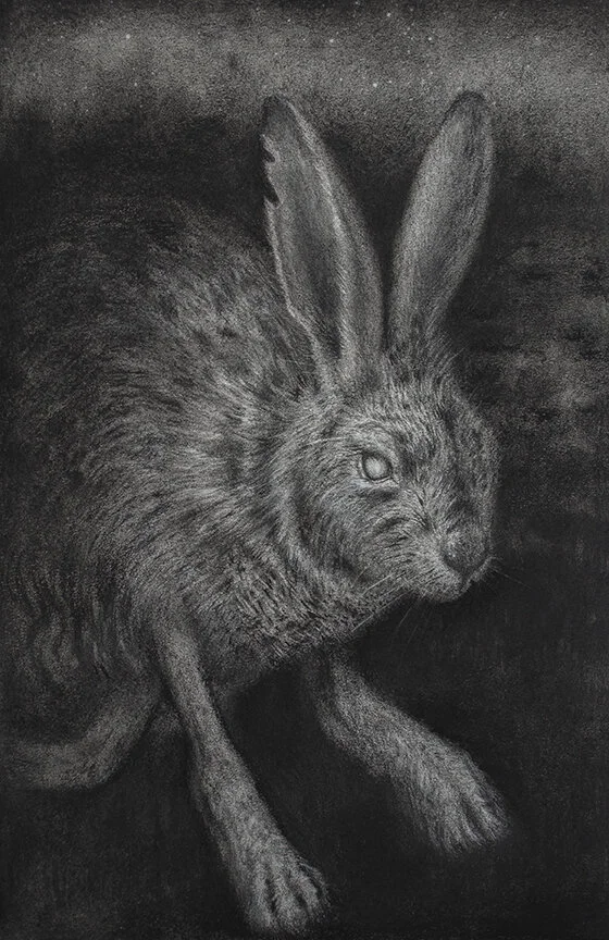 Night Hare