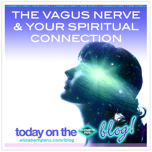 THE VAGUS NERVE AND YOUR SPIRITUAL CONNECTION