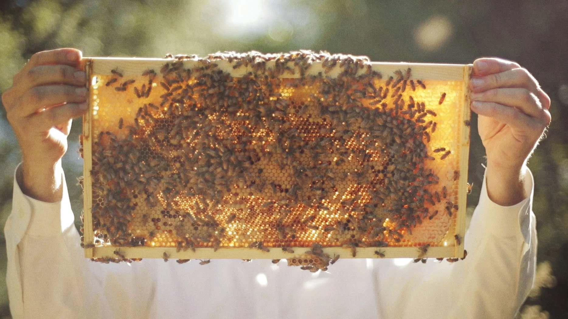 PORT COSTA PROJECT - EARL