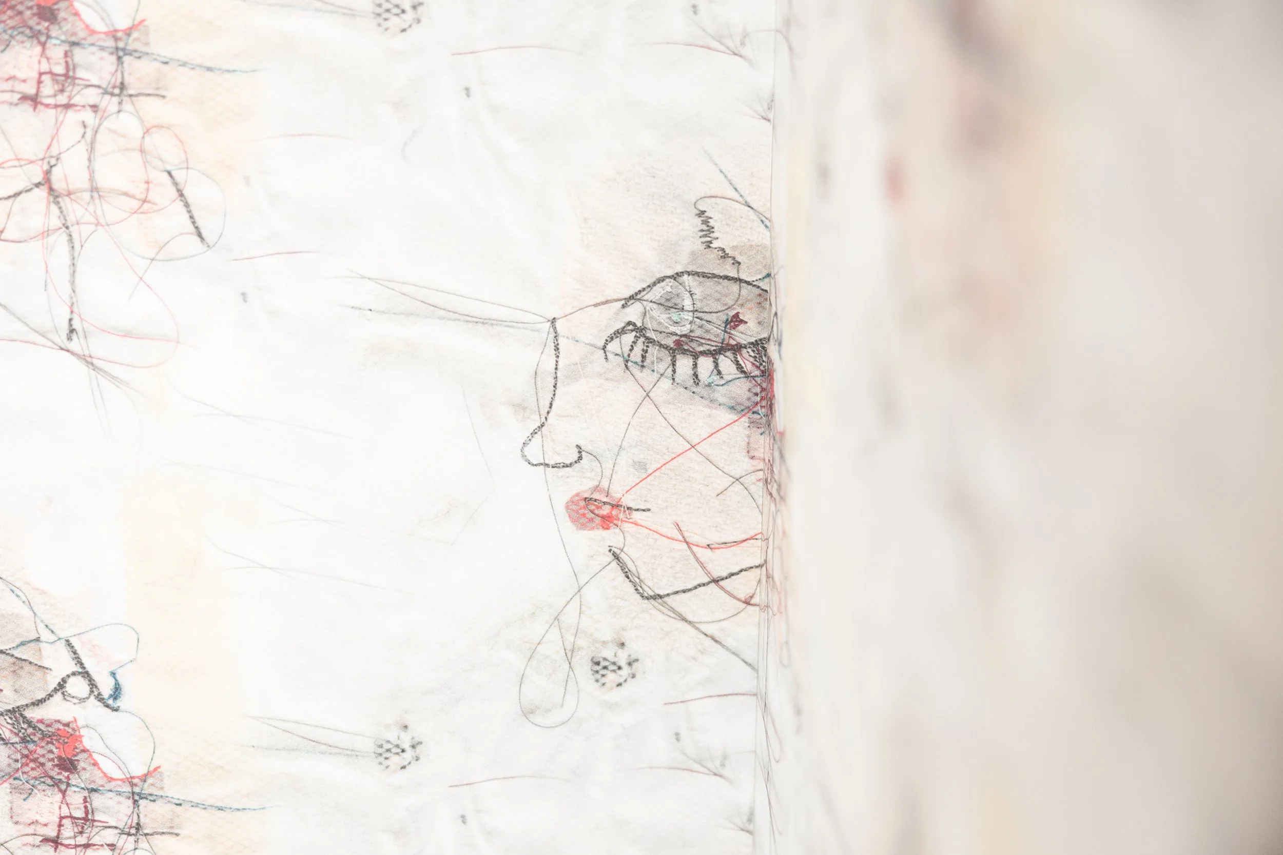 The Big Lashes Wallpaper