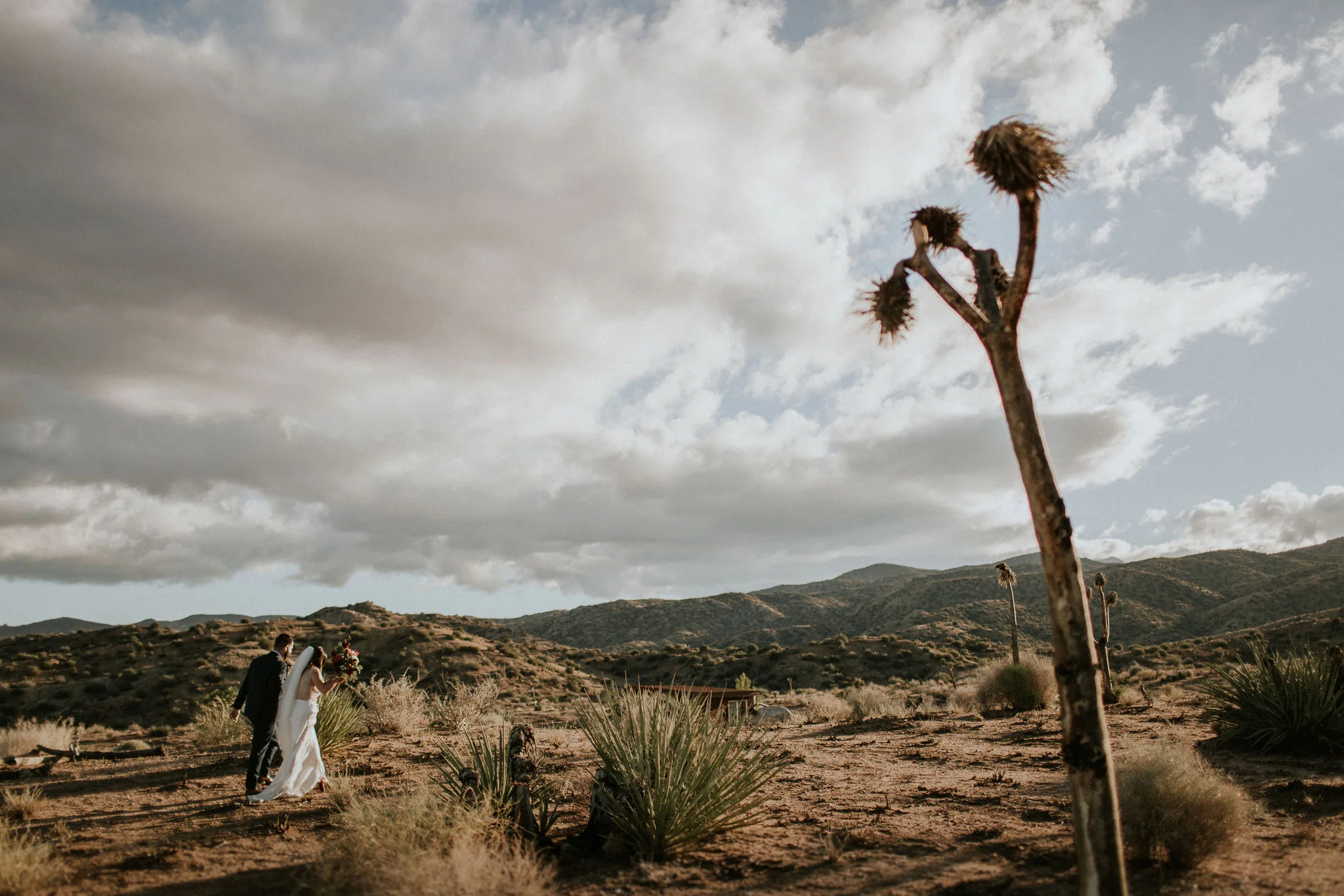 RimrockRanch-JoshuaTree-Wedding-Jami-Laree-605.jpg