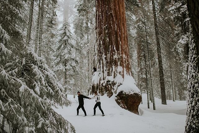 Feeling like I&rsquo;m on the struggle bus right now... I don&rsquo;t know what to say or post anymore. These are definitely strange times friends. We&rsquo;re all human - we all struggle some days more than others. It&rsquo;s snowing in the mountain