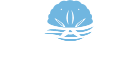 bcr_logo_web.png