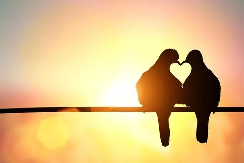 Beach-Club-Resort-Couple-Escape-Package.jpg