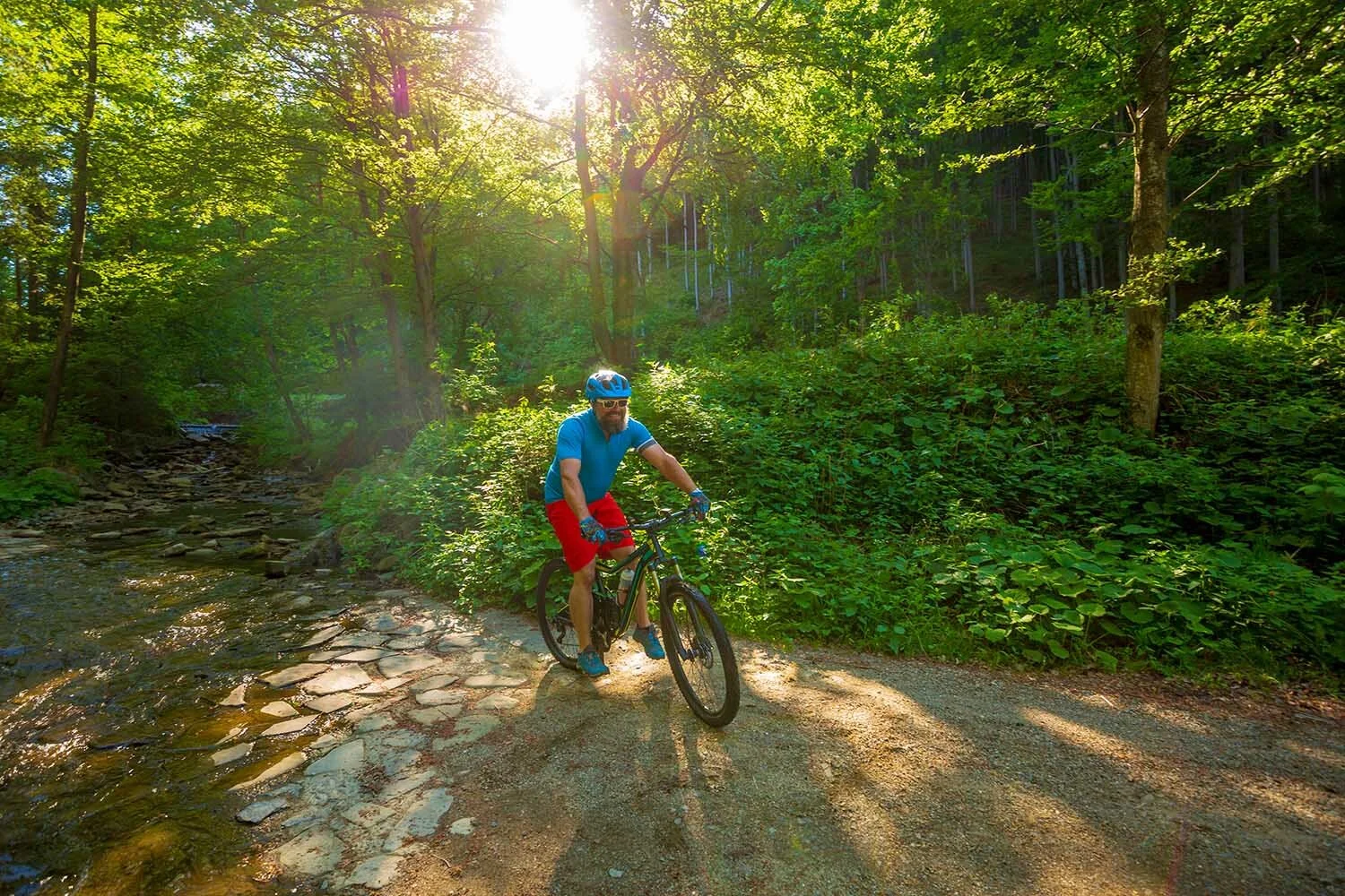   Bike Rentals    View All Stay ® | Well Amenities  