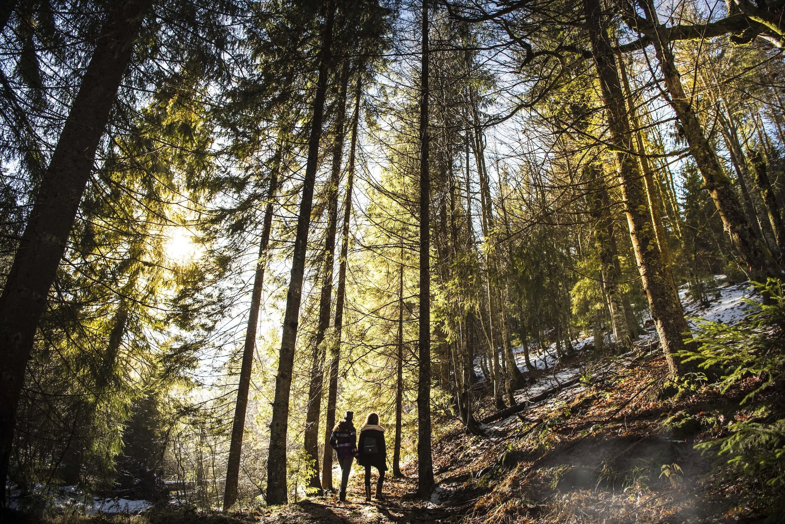 Top 5 Winter Hikes in Parksville — Parksville Hotels The Beach Club