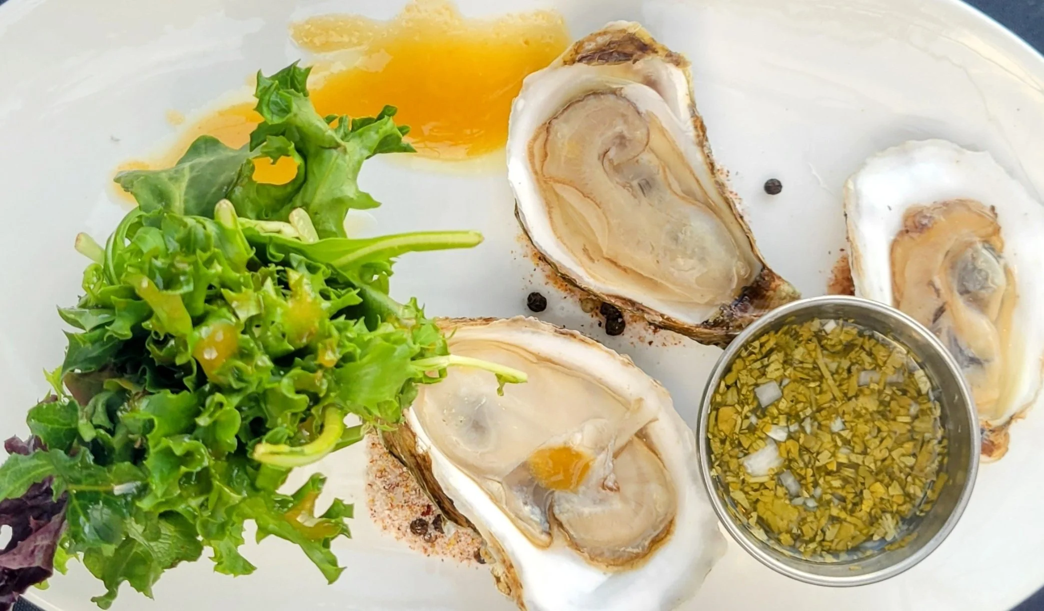 Best beachfront patio with ocean views in Parksville Vancouver Island Resort with local