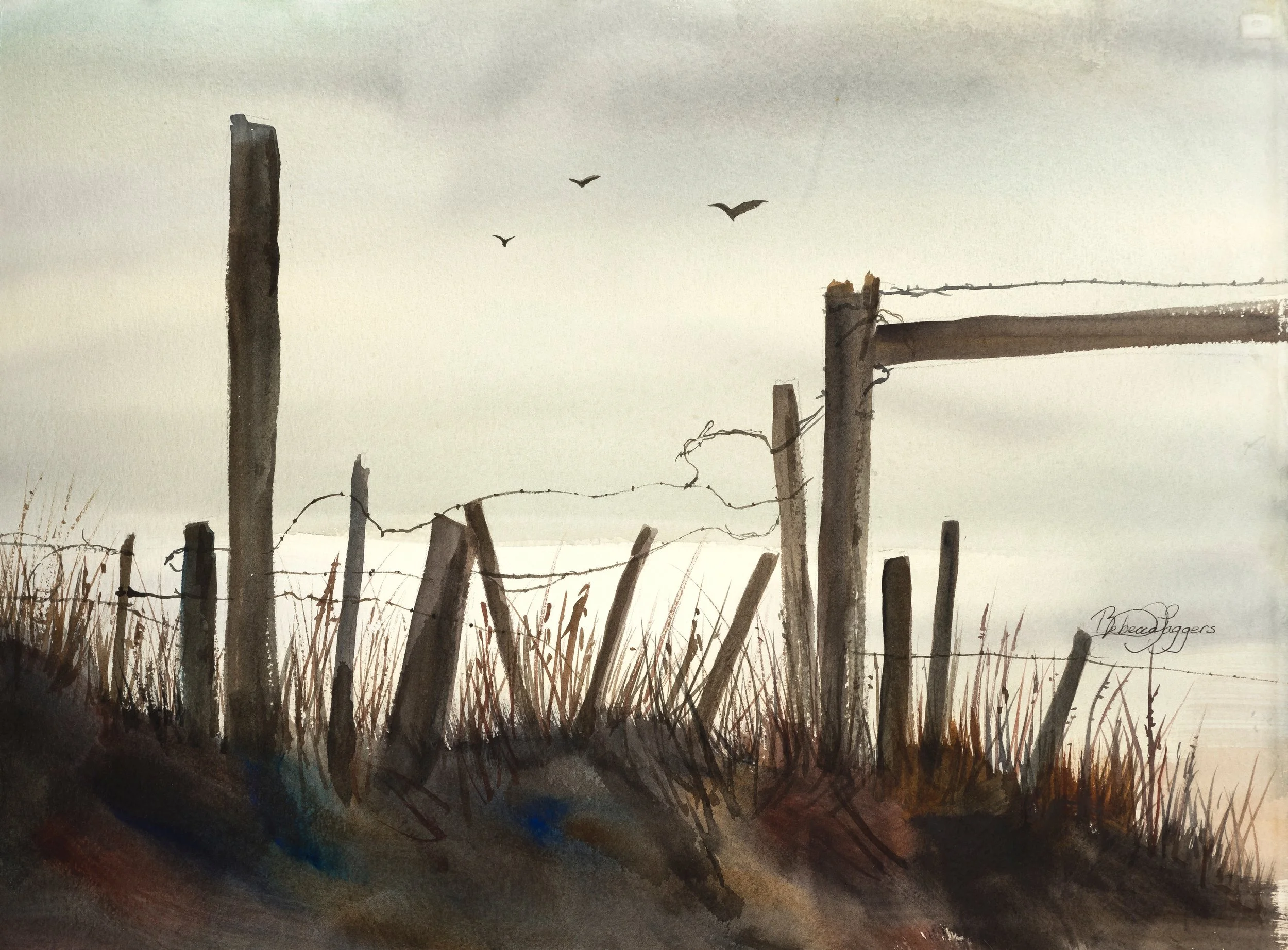 Point Reyes at Dusk