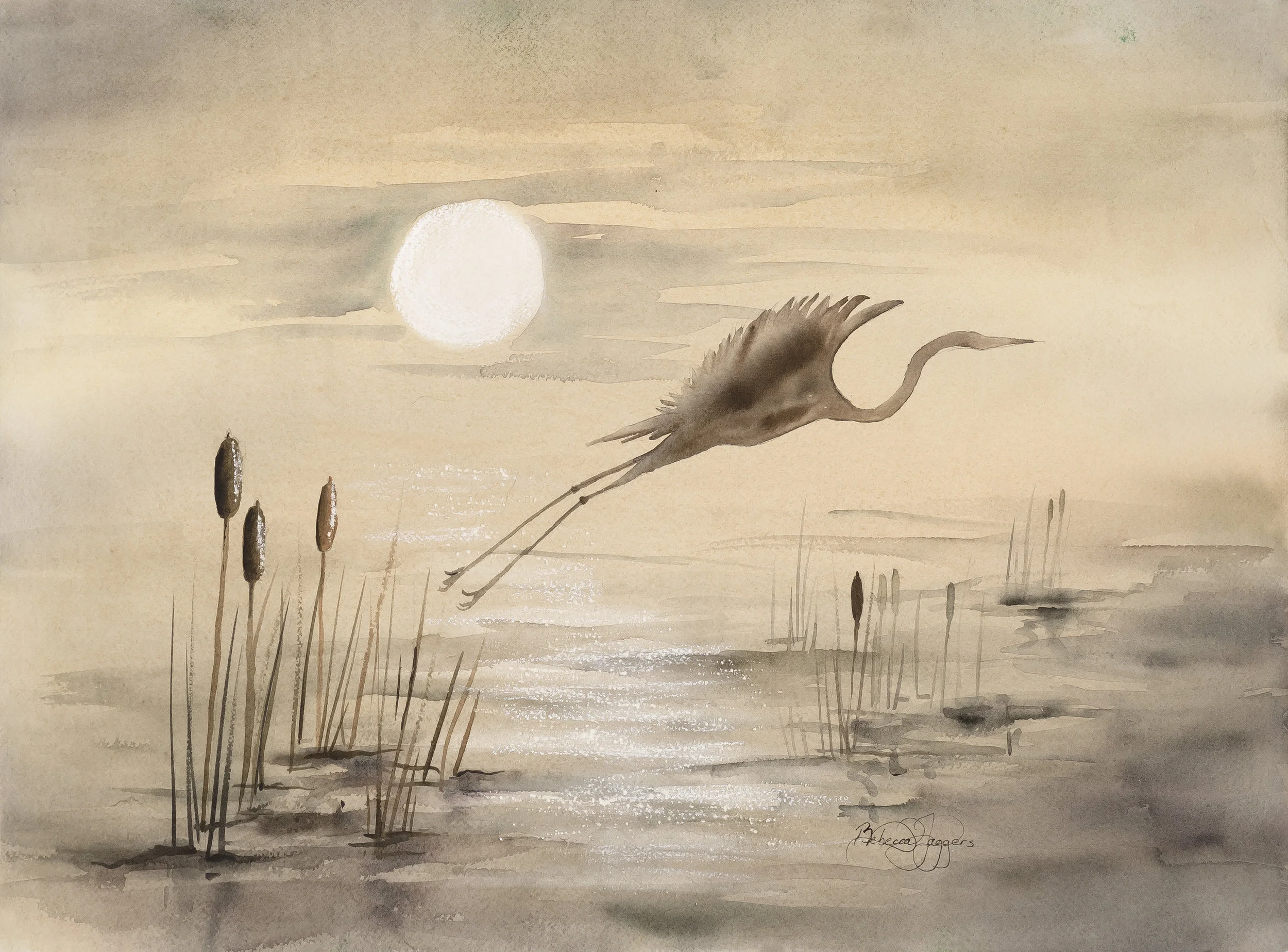 Moonlight Flight