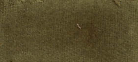 Loden