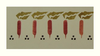Daikon Border