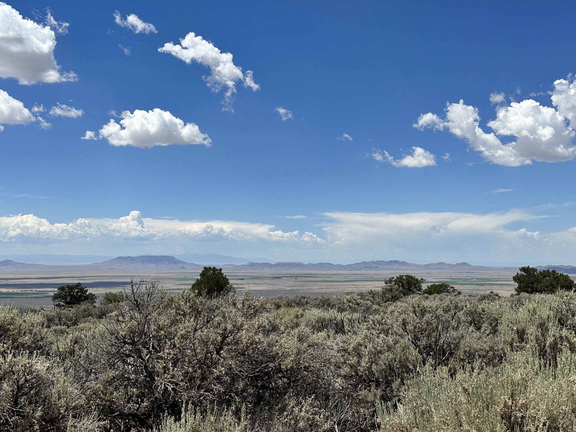 Photo from nearby property - actual photos coming soon!