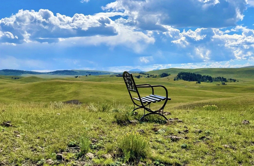Bench_Top_hill_shot_1.jpeg
