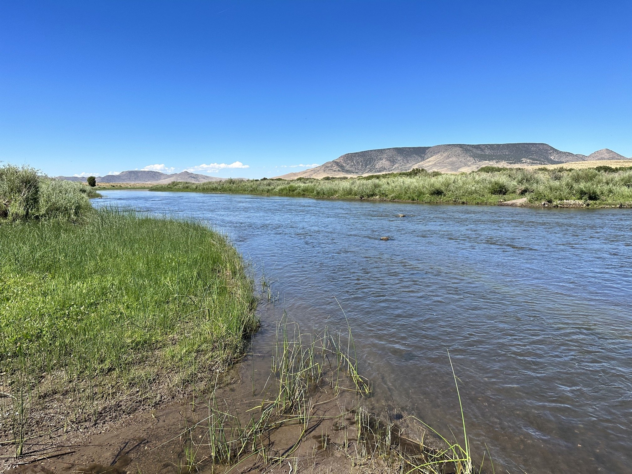The Rio Grande River is just 2.5 miles away!