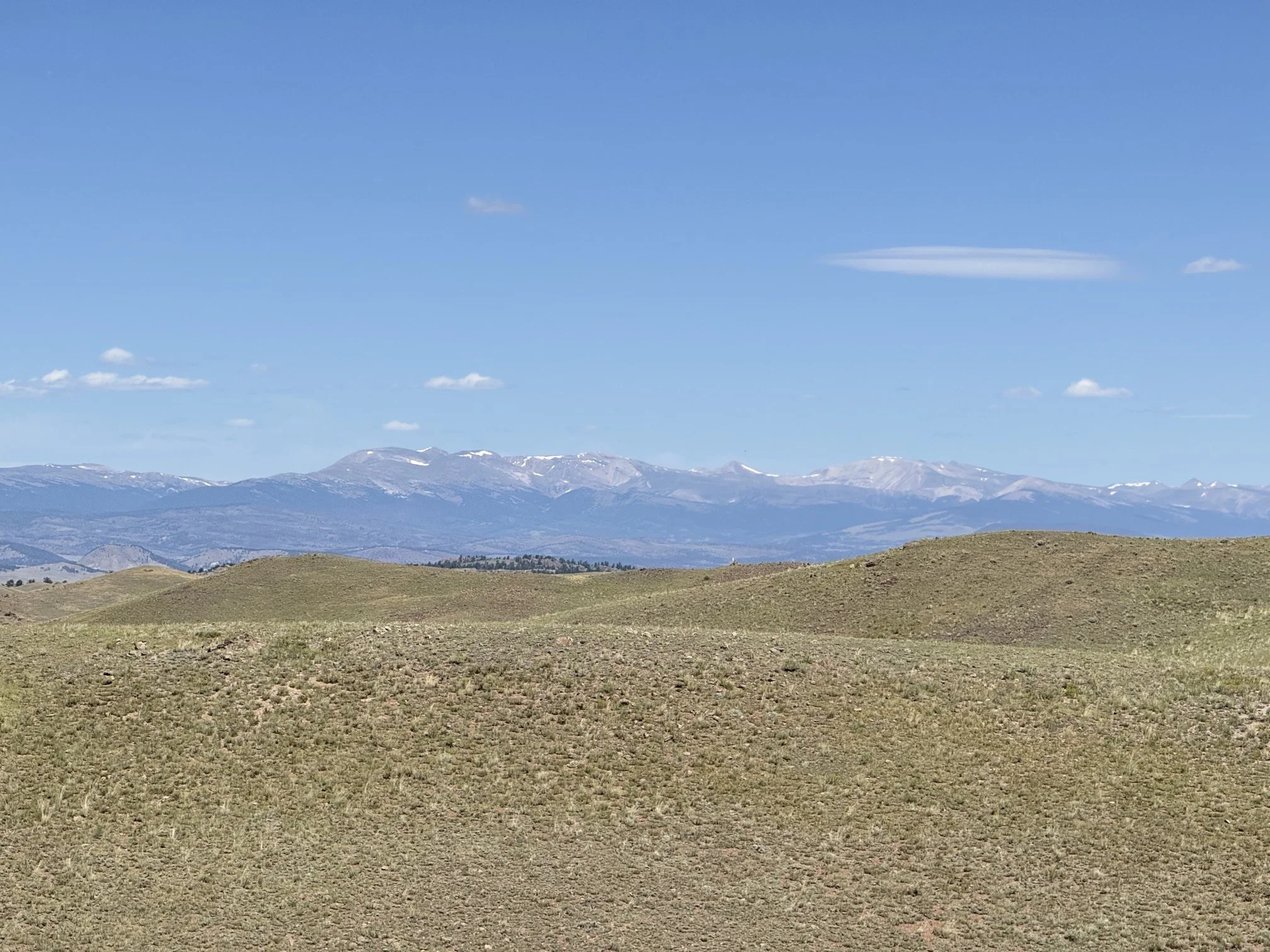 CO - Park - 9634 - 66.jpeg