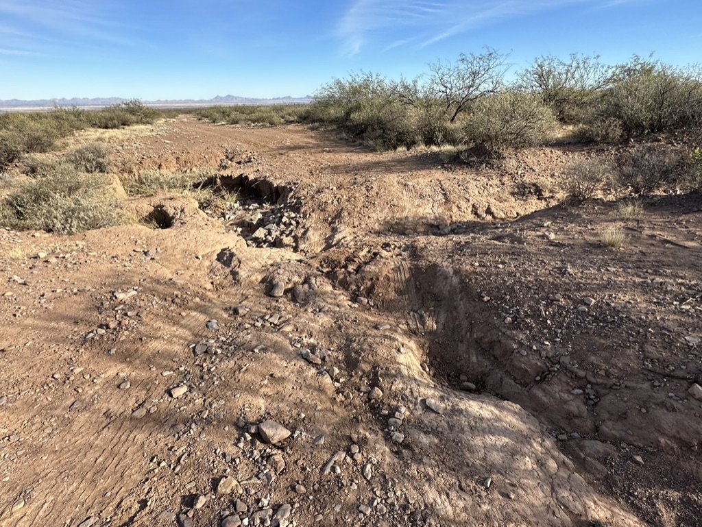 Rough dirt road - New owner will have to clear/maintain road for easy access. Bring your Bobcat!