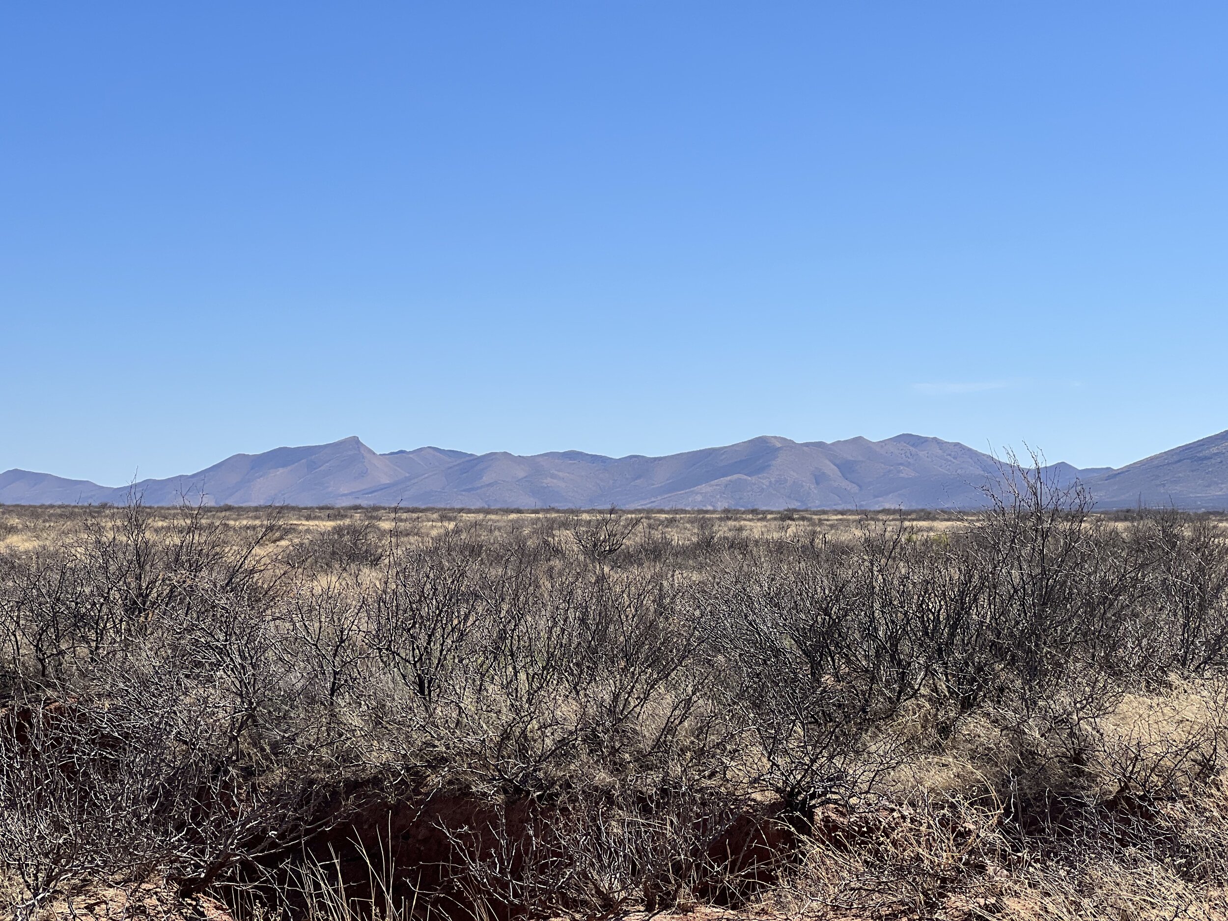 AZ - Cochise - 10325006C-D - 011.jpeg