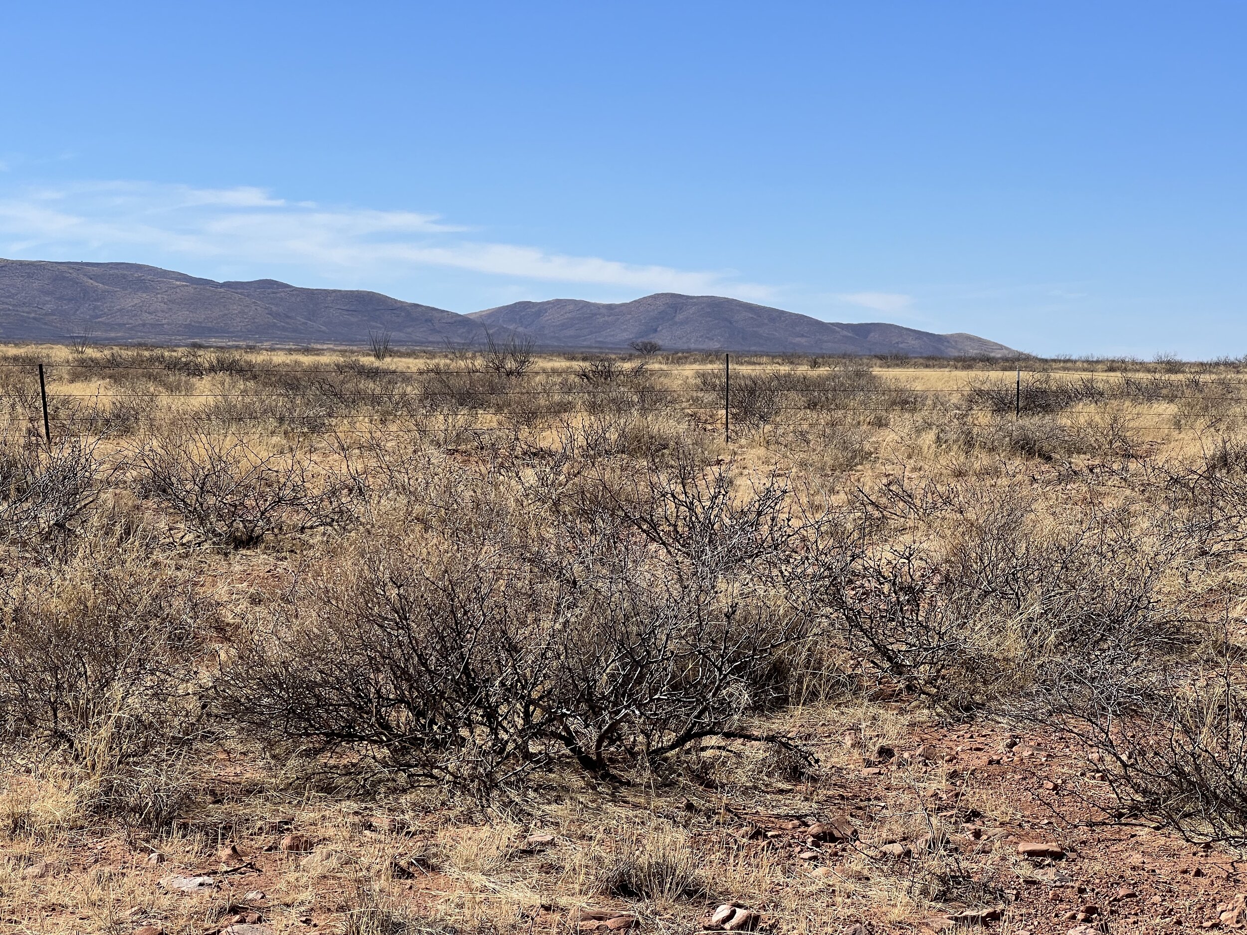 AZ - Cochise - 10325006C-D - 016.jpeg