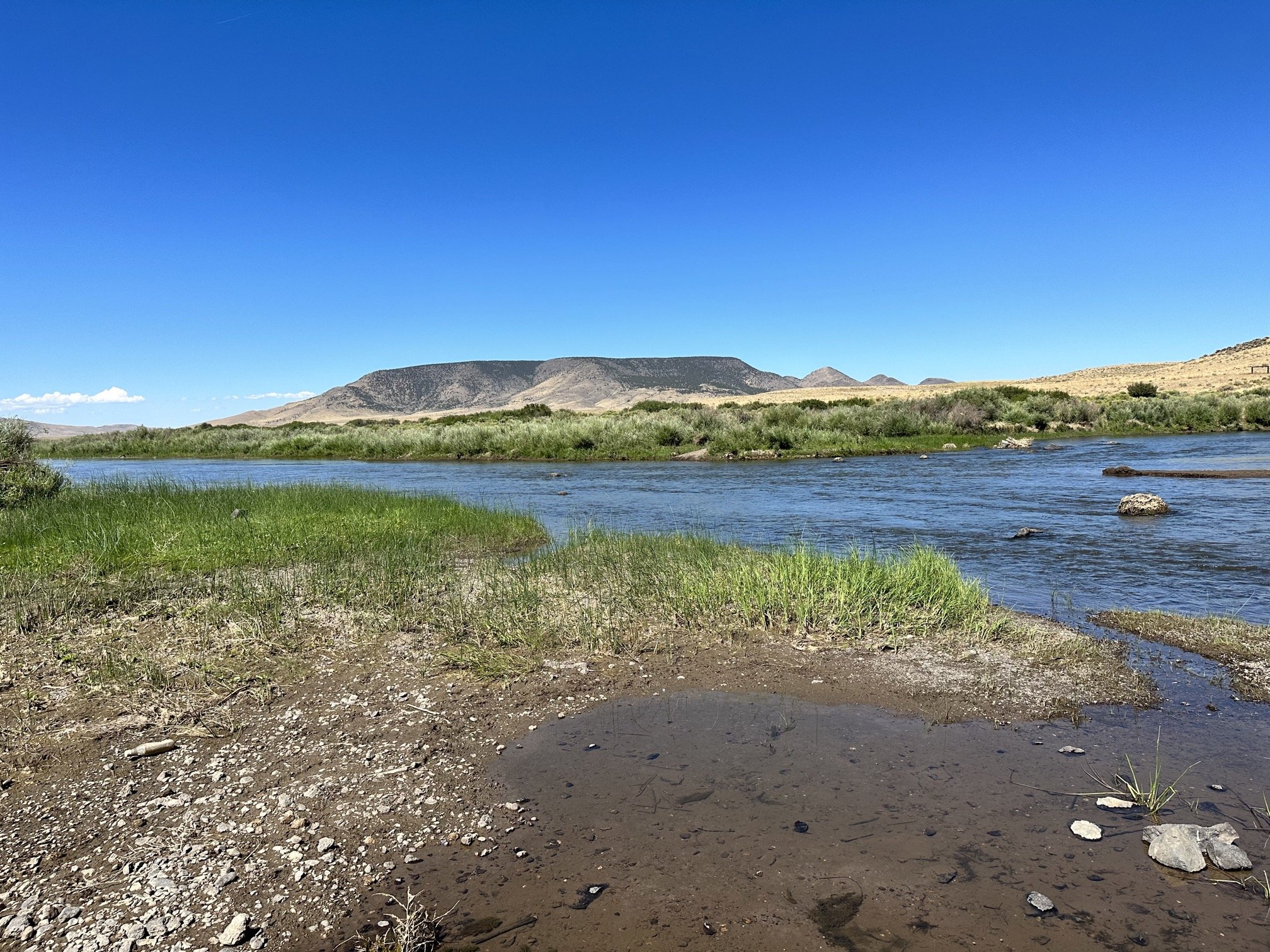 Nearby Rio Grande