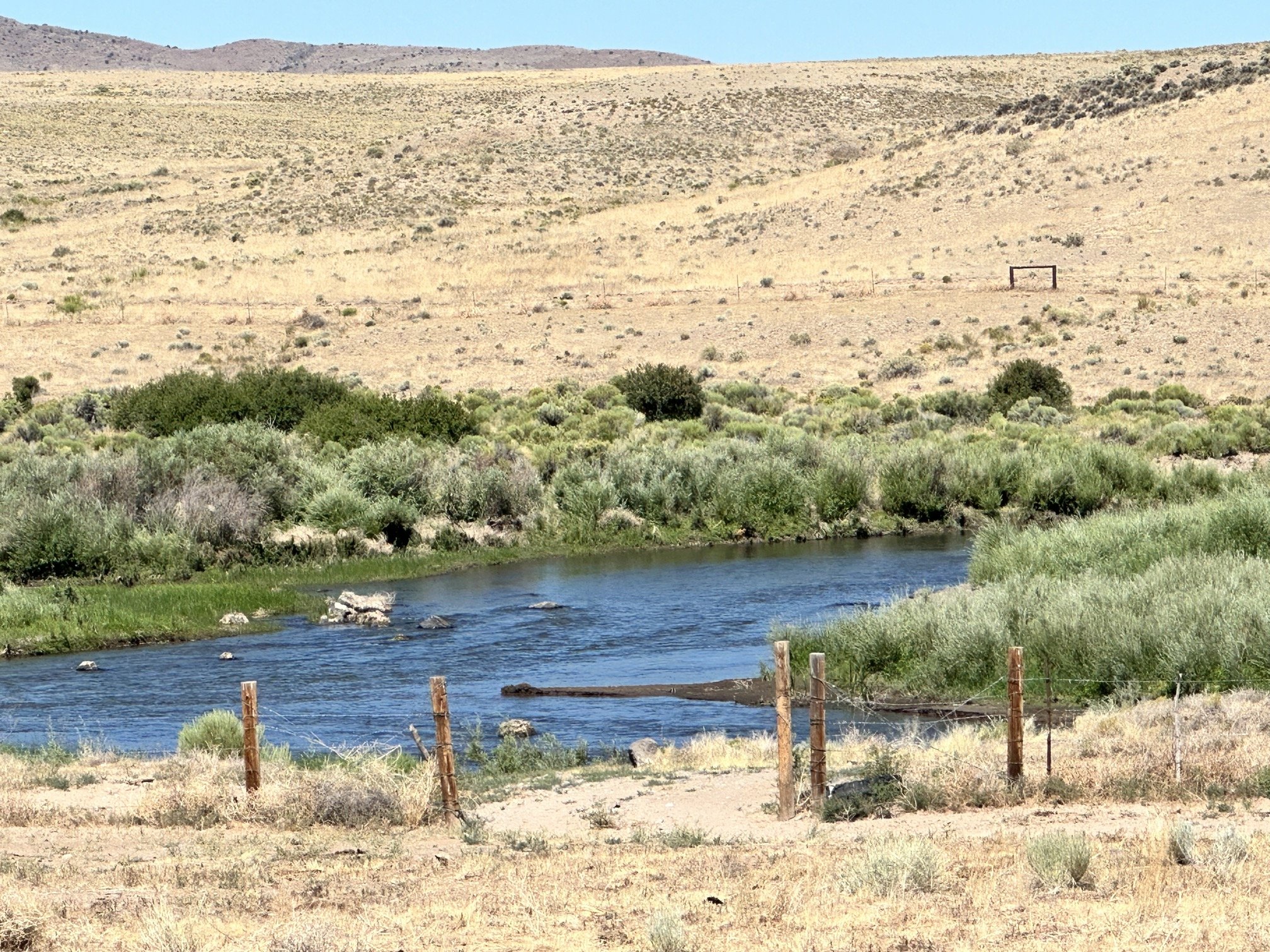 Nearby Rio Grande