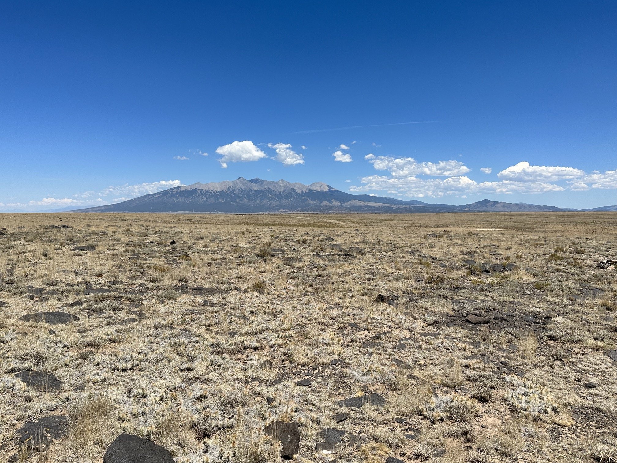 CO - Costilla - 70305370 - IMG_7240.jpeg