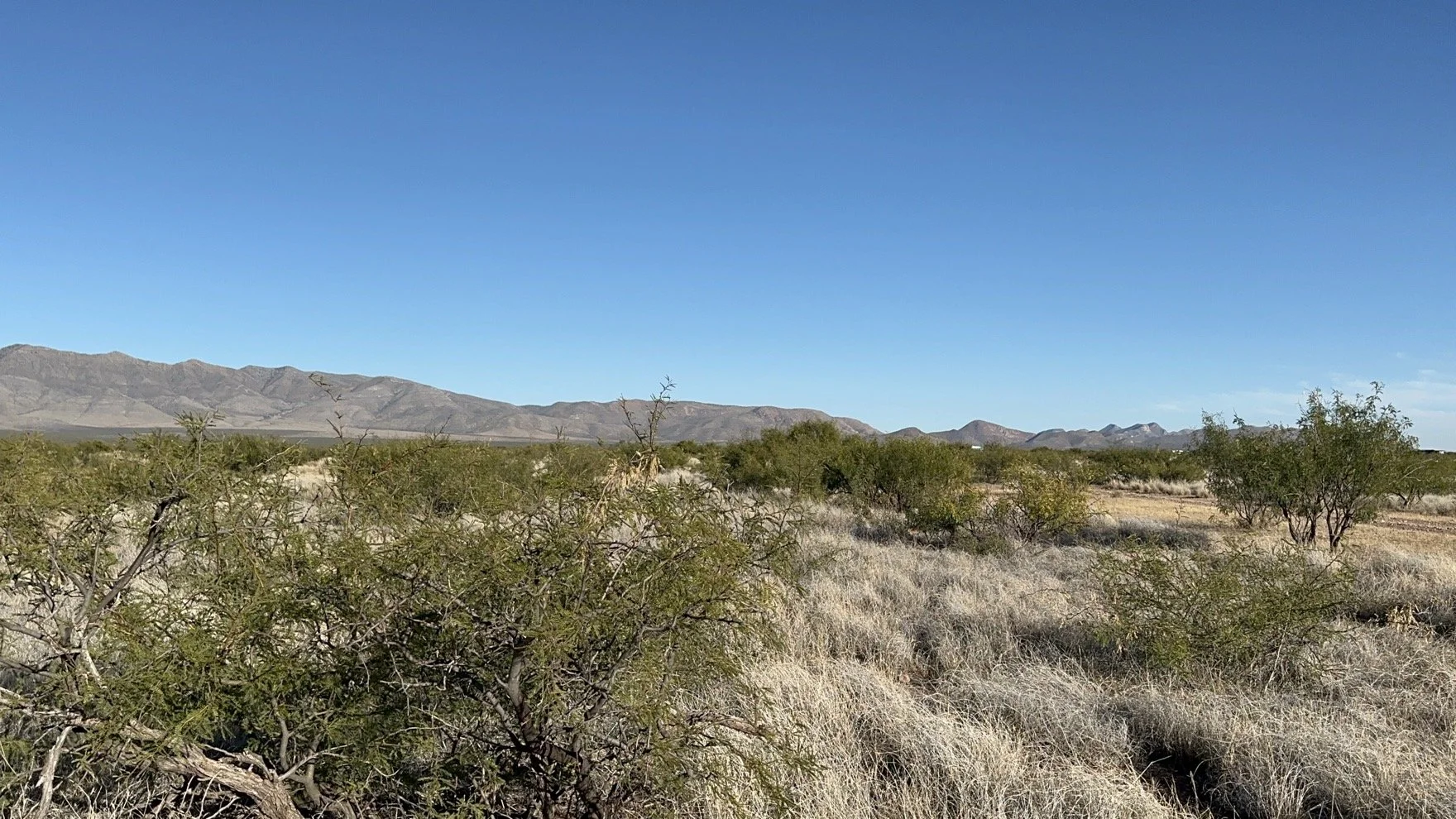 Cochise - 40402396 - IMG_9678.JPG