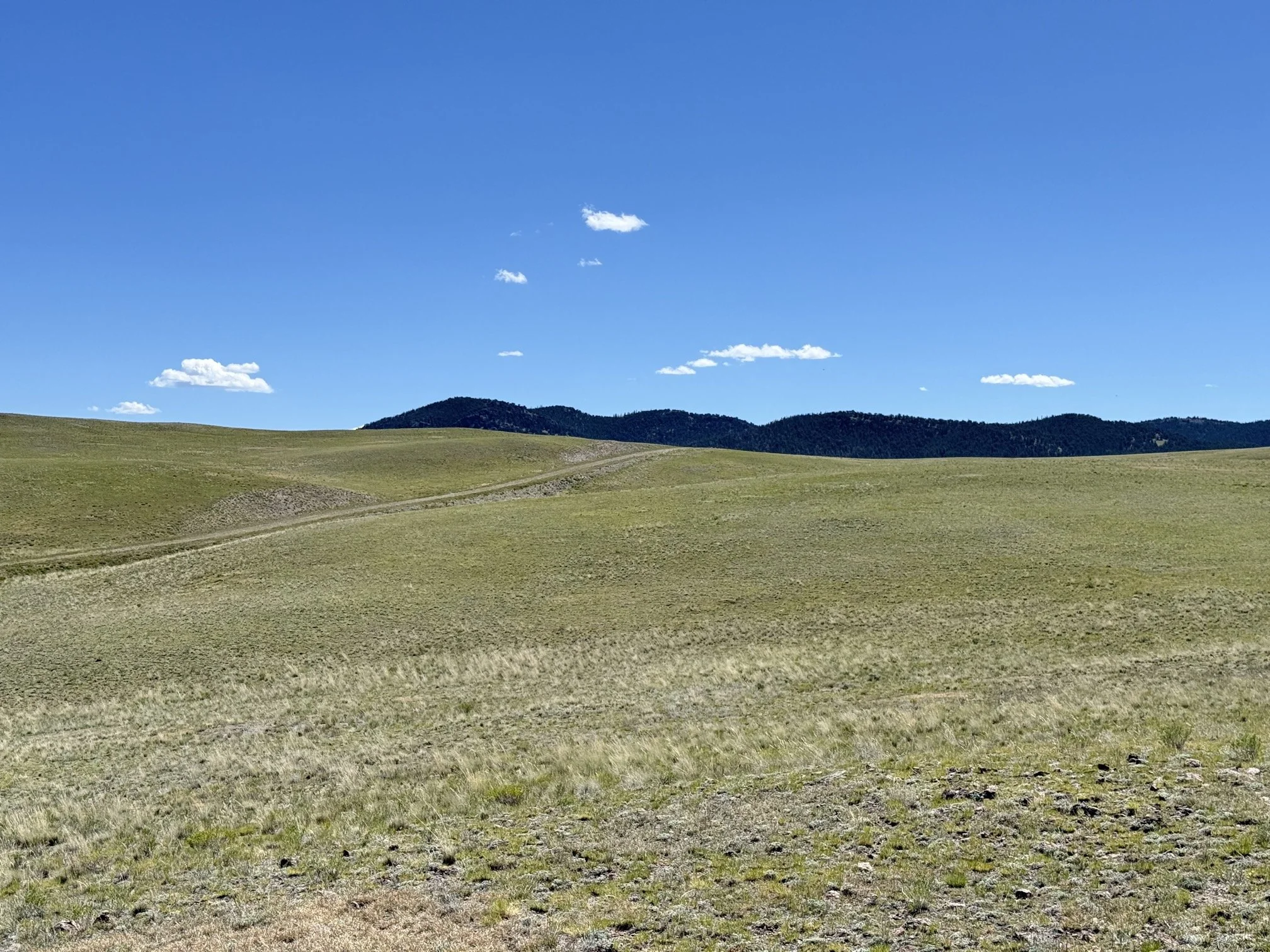CO - Park - 9634 - 65.jpeg